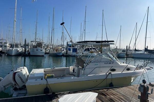 SUN DAZE 30ft Pro Line Yacht For Sale