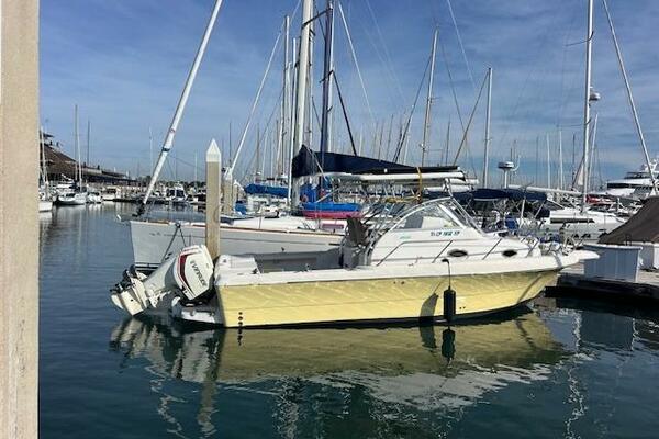 SUN DAZE 30ft Pro Line Yacht For Sale
