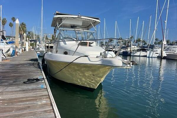 SUN DAZE 30ft Pro Line Yacht For Sale