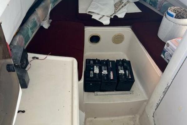 SUN DAZE 30ft Pro Line Yacht For Sale