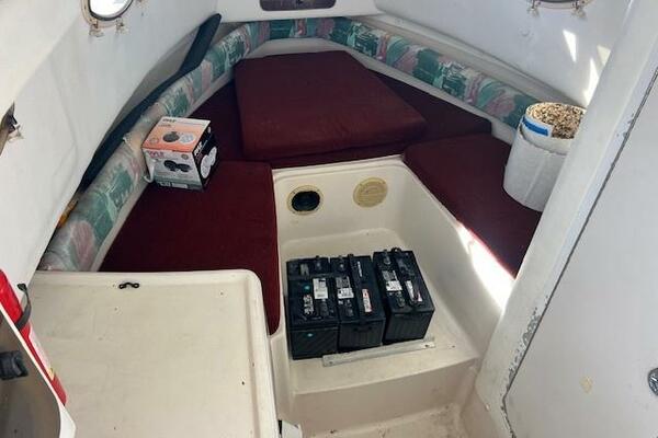 SUN DAZE 30ft Pro Line Yacht For Sale