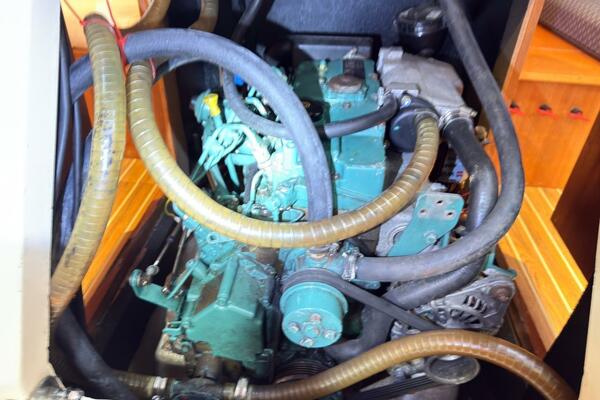 YoungBloods 38ft Elan Yacht For Sale