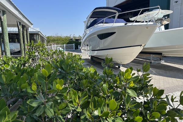 26ft Regal Yacht For Sale