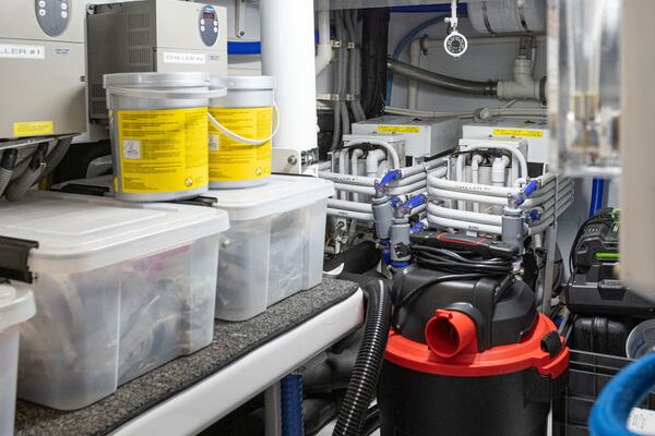 HT HOOK 72ft Merritt Yacht For Sale