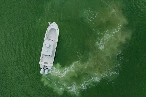 29ft Orion Yacht For Sale