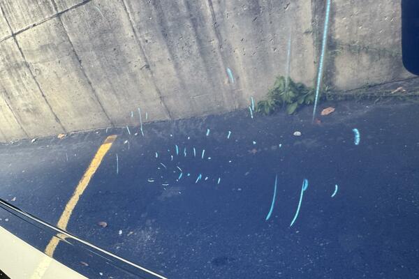 23ft Chaparral Yacht For Sale