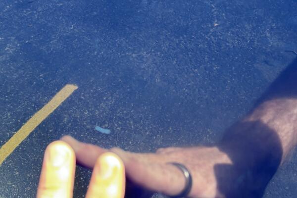 23ft Chaparral Yacht For Sale