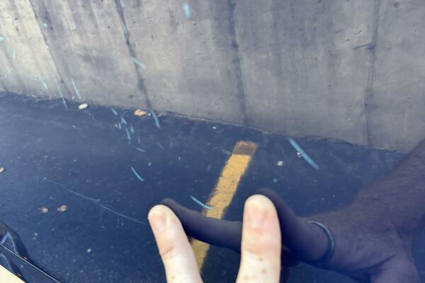 23ft Chaparral Yacht For Sale