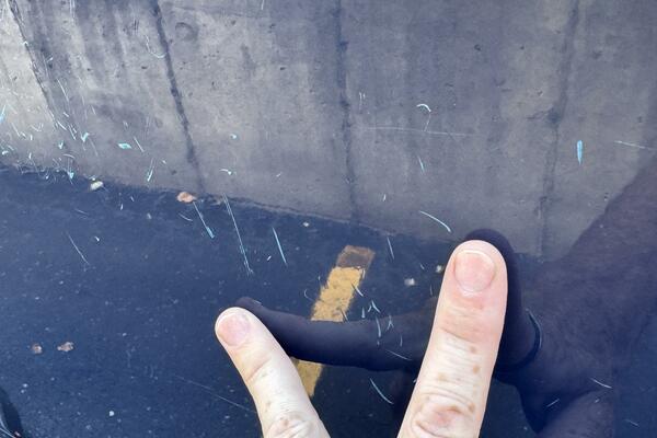 23ft Chaparral Yacht For Sale