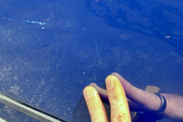 23ft Chaparral Yacht For Sale