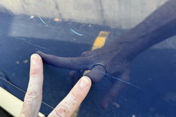 23ft Chaparral Yacht For Sale