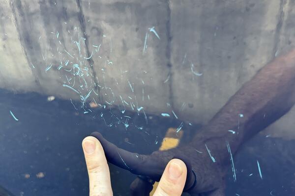 23ft Chaparral Yacht For Sale