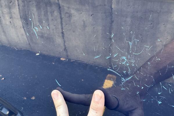 23ft Chaparral Yacht For Sale