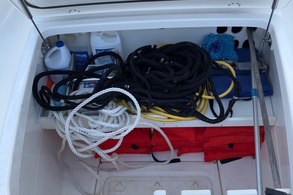 2016 Boston Whaler 19