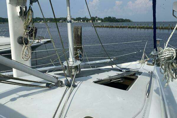 Photo of the 1991 Tillotson-Pearson Manta Clipper