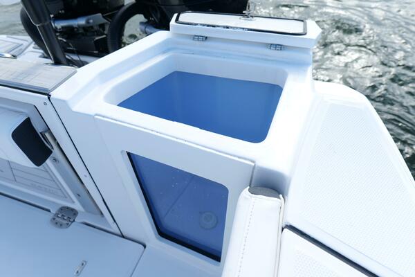 Blackfin 332 CC - Livewell