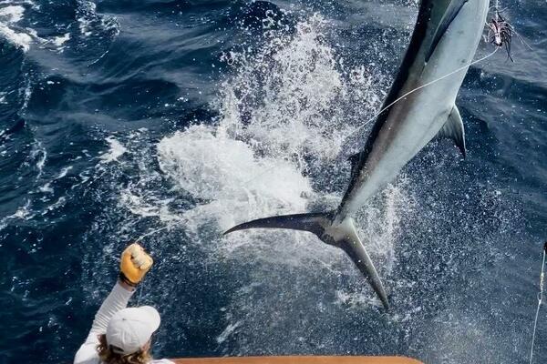 Ostara 142ft Westport Yacht For Sale