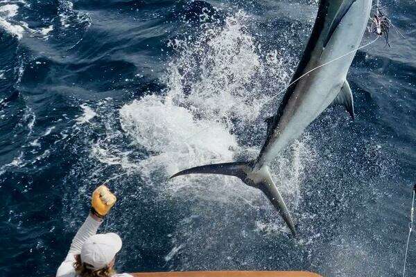 Photo of the 2010 Westport Superyacht "OSTARA"
