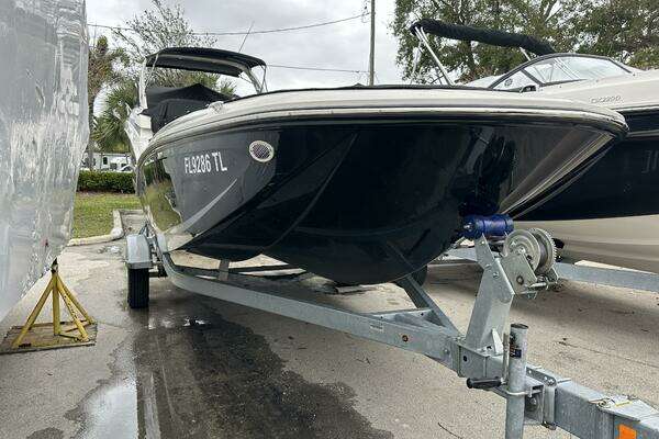 Photo of the 2023 Bayliner M17