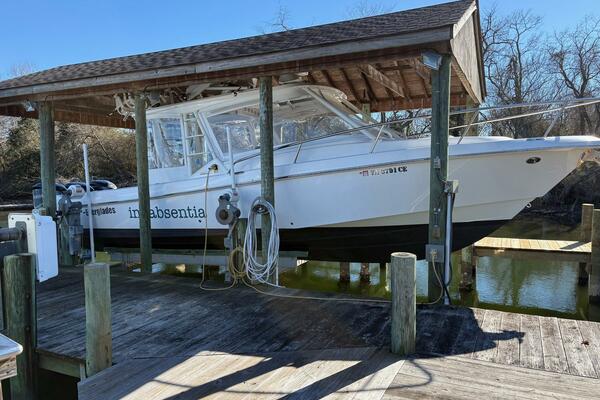 In Absentia 35ft Everglades Yacht For Sale