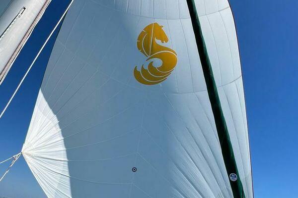 Attitude Indicator 36ft Beneteau Yacht For Sale