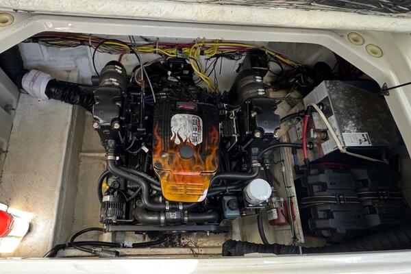 Holly Anne 29ft Bayliner Yacht For Sale