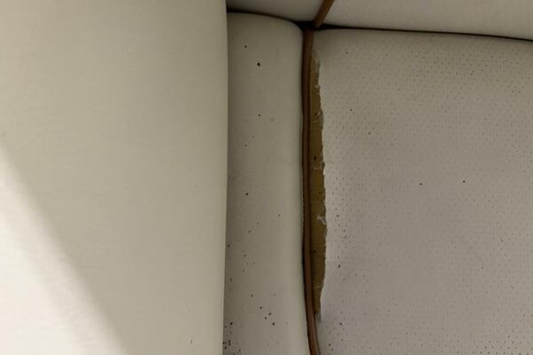 36ft Chris Craft Yacht For Sale