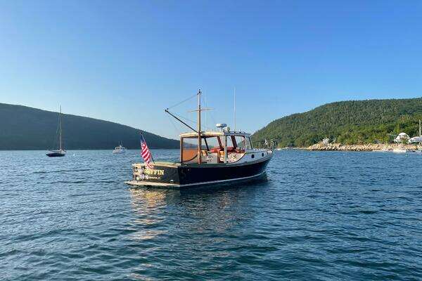 Photo of the 1985 John Williams Stanley 36 "Puffin"