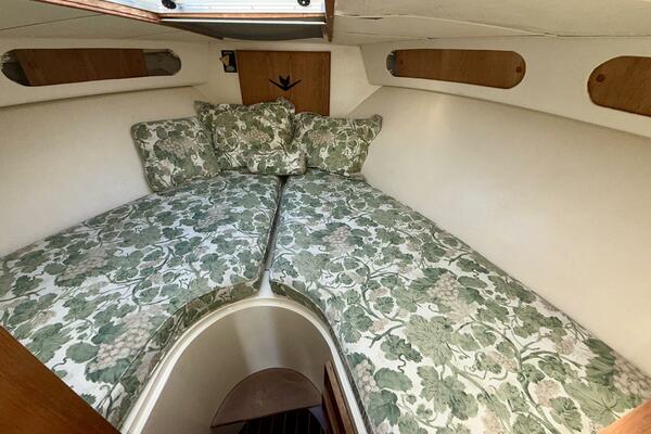 SINE QUA NON 33ft Bertram Yacht For Sale