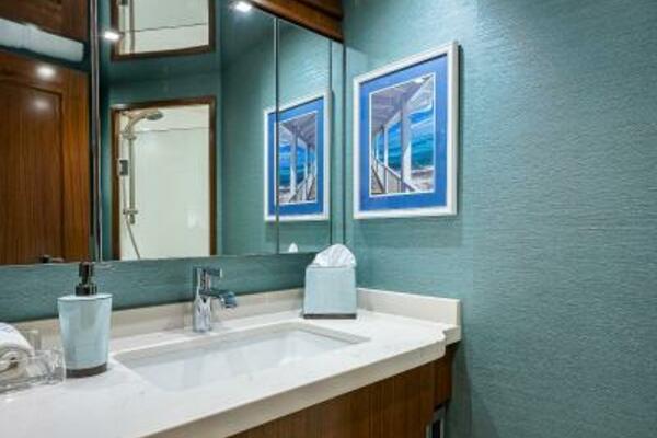 Viking 75 MIRAGE - Port Guest Head