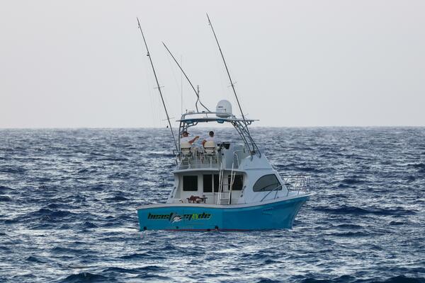 Beast Mode 40ft Black Watch Yacht For Sale