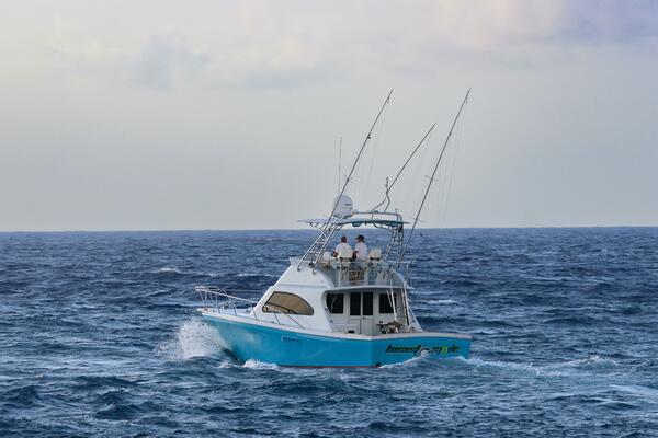 Beast Mode 40ft Black Watch Yacht For Sale