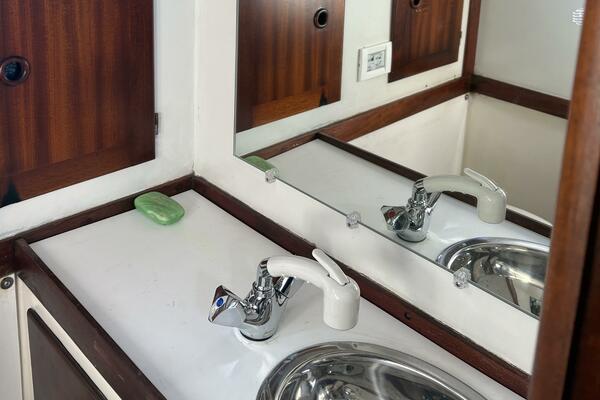 Head Pull Out Shower