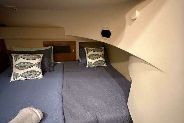 Carver 460 voyager Yacht For Sale
