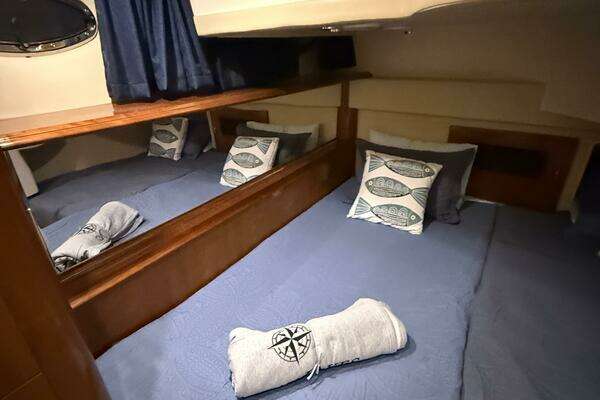 Carver 460 voyager Yacht For Sale