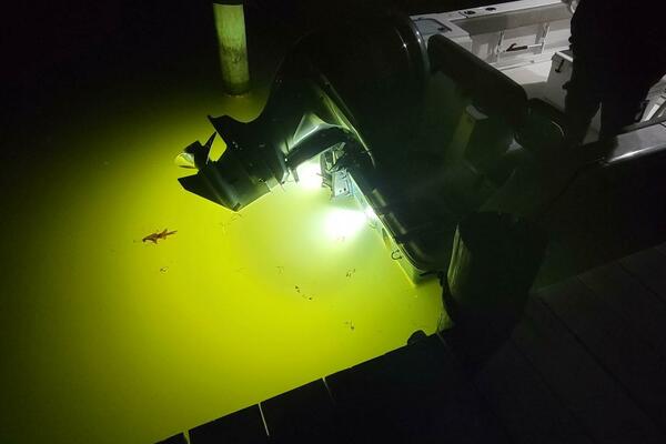 24ft Sea Fox Yacht For Sale