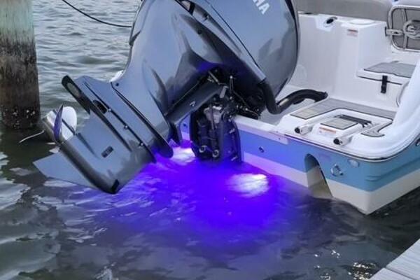 24ft Sea Fox Yacht For Sale