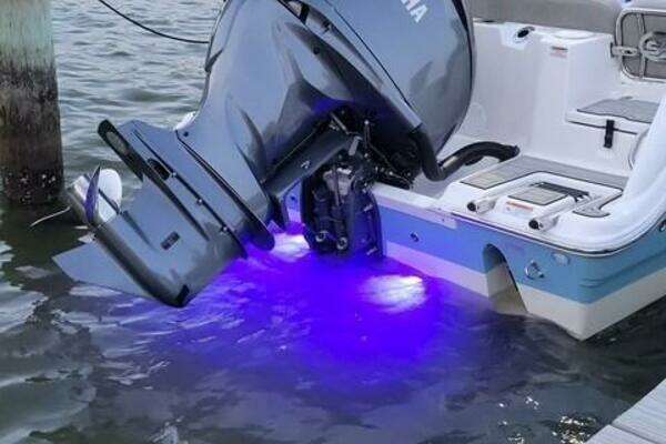 2022 Sea Fox 24