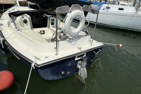 Horizon Cat Transom