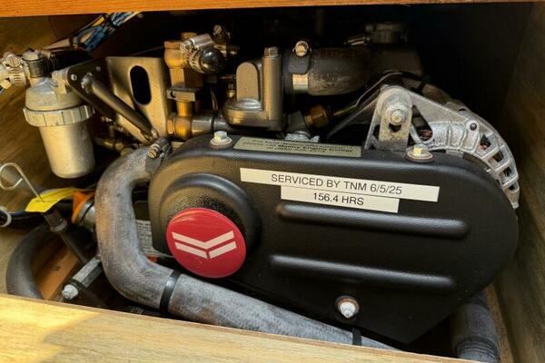 Horizon Cat Yanmar Diesel