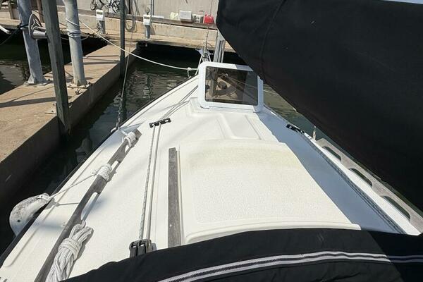 Horizon Cat cabin top