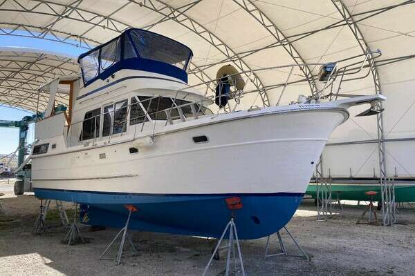 Photo of the 1986 Heritage East Sundeck 36 "Honey Badger"