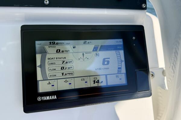 2020 Everglades 243 CC - Helm/Electronics 