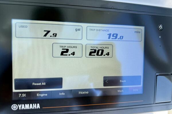 2020 Everglades 243 CC - Helm/Electronics 