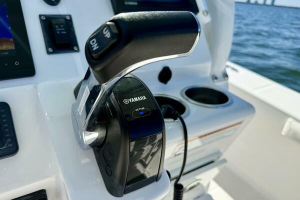 2020 Everglades 243 CC - Helm/Electronics 