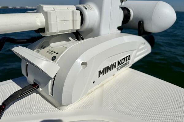 2020 Everglades 243 CC 