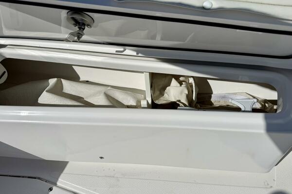 2020 Everglades 243 CC 