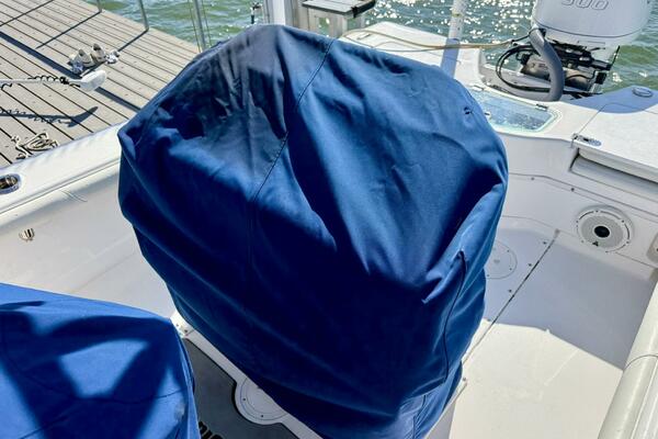 2020 Everglades 243 CC 