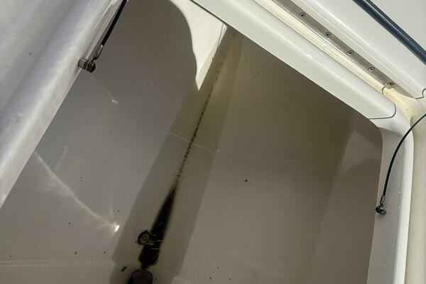 2020 Everglades 243 CC 