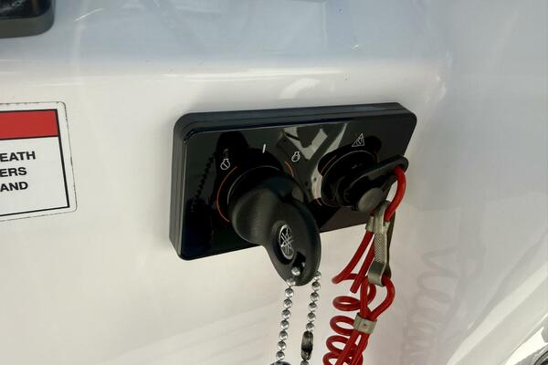 2020 Everglades 243 CC - Helm/Electronics 